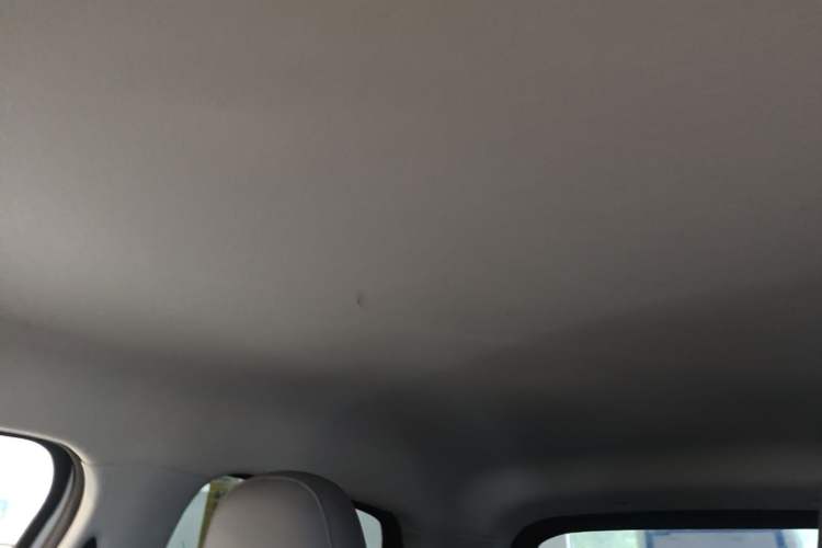 Used Leapmotor T03 2025 310 Comfort Edition Headliner