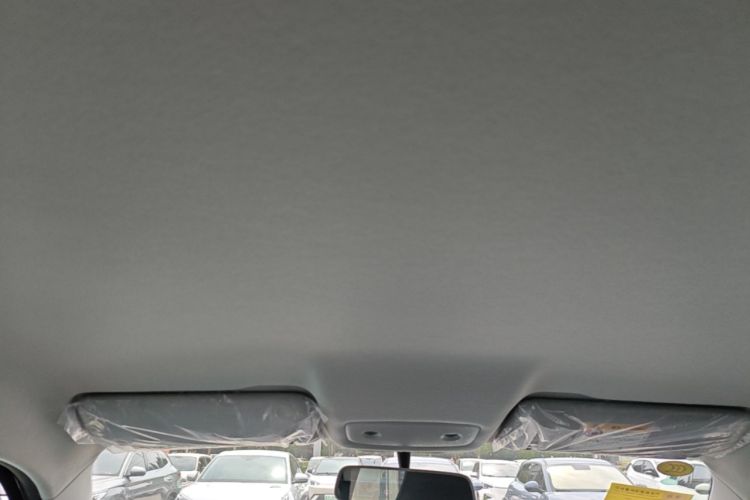 Used Leapmotor T03 2025 310 Comfort Edition Headliner