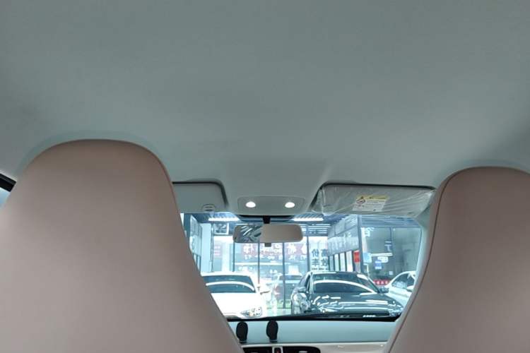 Used Leapmotor T03 2025 310 Comfort Edition Headliner