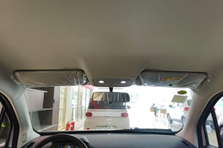 Used Leapmotor T03 2025 310 Comfort Edition Headliner