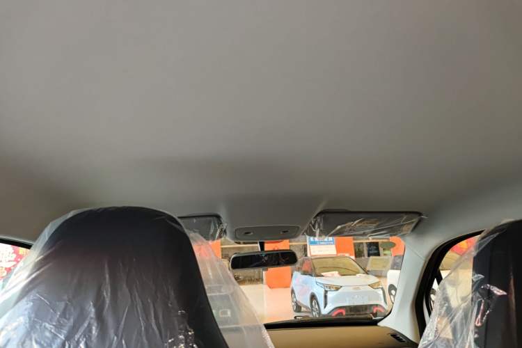 Used Leapmotor T03 2025 310 Comfort Edition Headliner