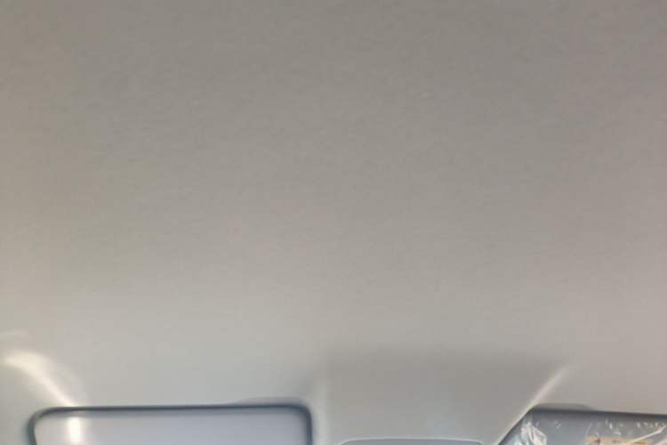 Used Leapmotor T03 2025 310 Comfort Edition Headliner