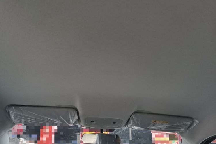 Used Leapmotor T03 2025 310 Comfort Edition Headliner