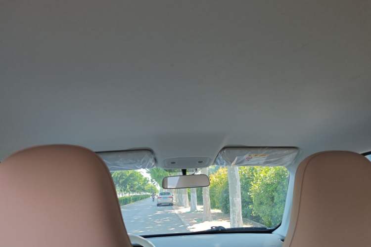 Used Leapmotor T03 2025 403 Comfort Edition Headliner