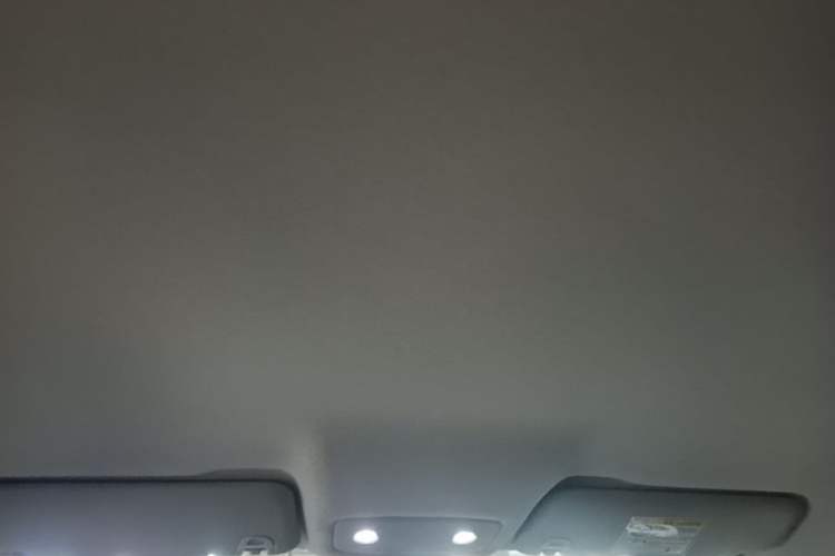 Used Leapmotor T03 2025 403 Comfort Edition Headliner