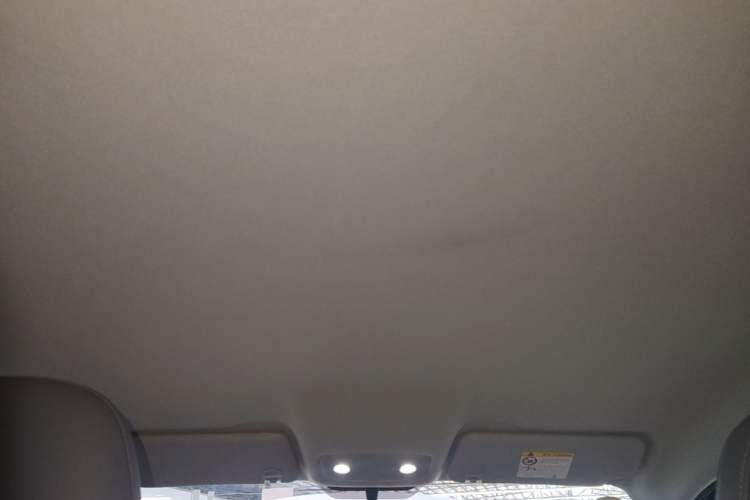 Used Leapmotor T03 2025 310 Comfort Edition Headliner