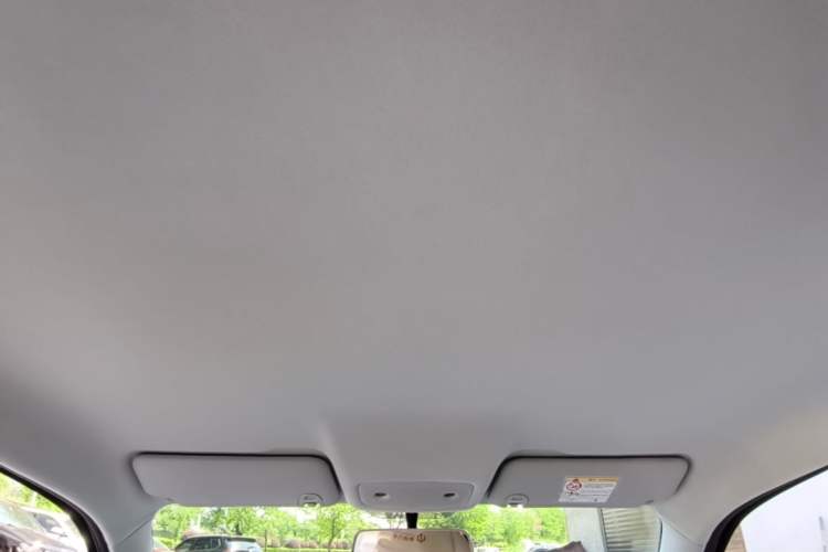 Used Leapmotor T03 2025 310 Comfort Edition Headliner