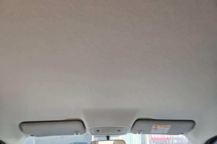 Used Leapmotor T03 2025 310 Comfort Edition Headliner