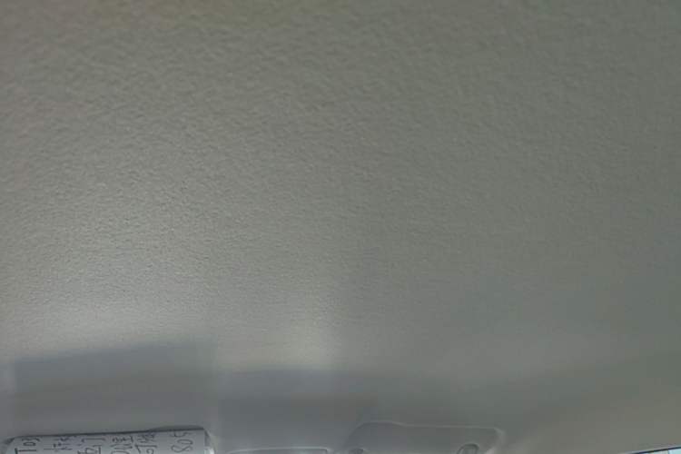 Used Leapmotor T03 2025 310 Comfort Edition Headliner