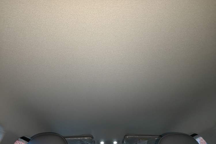 Used Leapmotor T03 2025 310 Comfort Edition Headliner