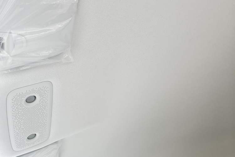 Used Leapmotor T03 2025 310 Comfort Edition Headliner