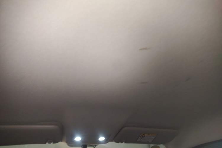 Used Leapmotor T03 2025 310 Comfort Edition Headliner