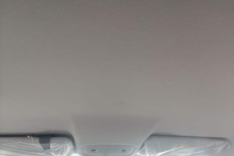 Used Leapmotor T03 2025 310 Comfort Edition Headliner