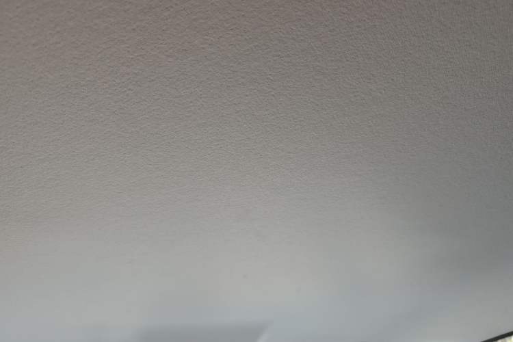 Used Leapmotor T03 2025 310 Comfort Edition Headliner