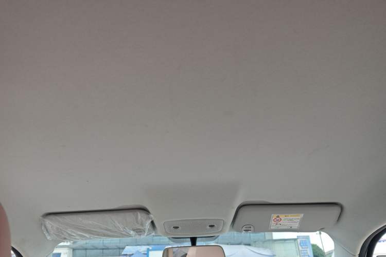 Used Leapmotor T03 2025 310 Comfort Edition Headliner