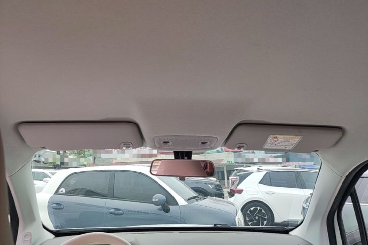 Used Leapmotor T03 2025 310 Comfort Edition Headliner