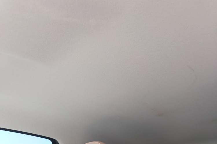Used Leapmotor T03 2025 310 Comfort Edition Headliner