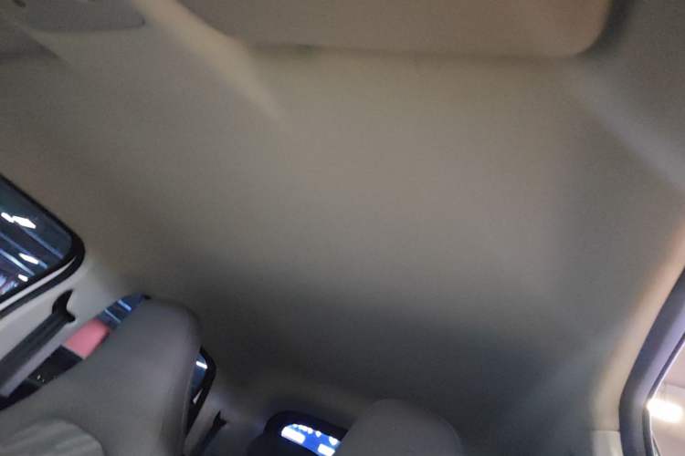 Used Leapmotor T03 2025 310 Comfort Edition Headliner