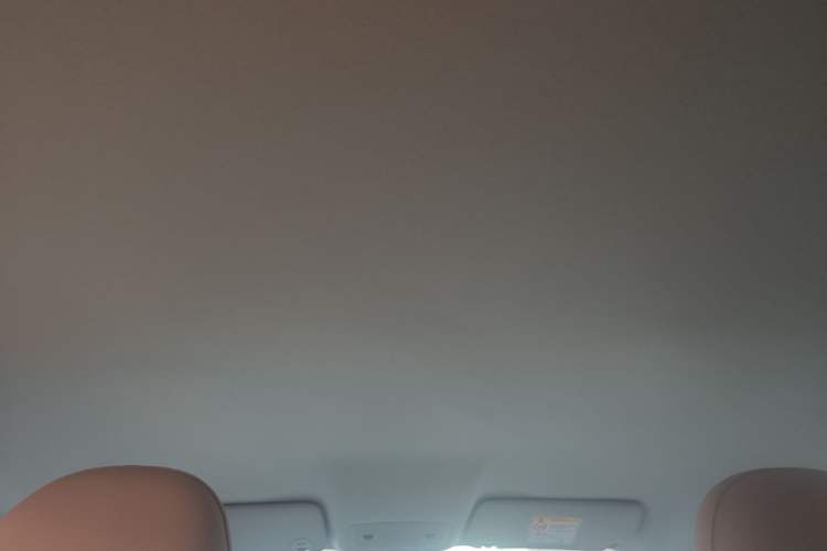 Used Leapmotor T03 2025 310 Comfort Edition Headliner
