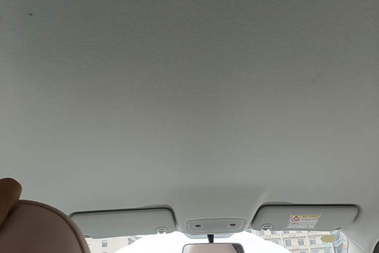Used Leapmotor T03 2025 403 Comfort Edition Headliner