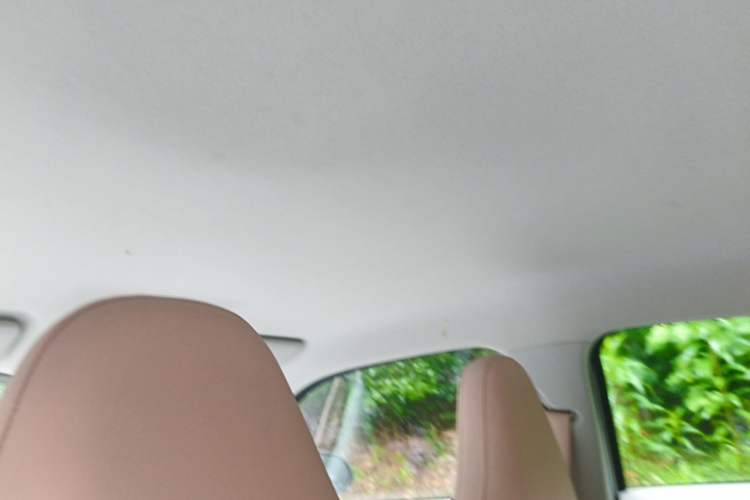 Used Leapmotor T03 2025 310 Comfort Edition Headliner