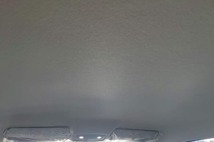 Used Leapmotor T03 2025 310 Comfort Edition Headliner