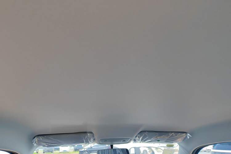 Used Leapmotor T03 2025 310 Comfort Edition Headliner
