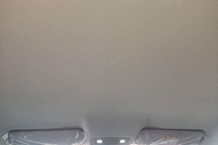 Used Leapmotor T03 2025 310 Comfort Edition Headliner