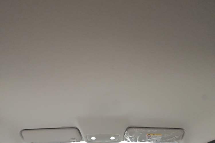 Used Leapmotor T03 2025 310 Comfort Edition Headliner