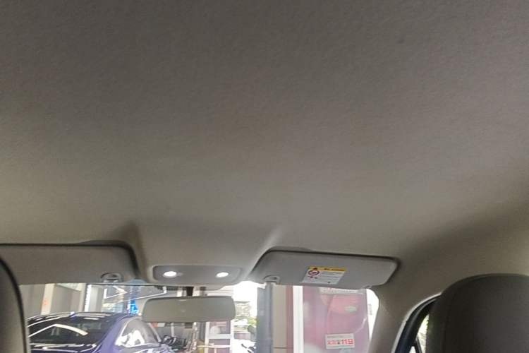 Used Leapmotor T03 2025 310 Comfort Edition Headliner
