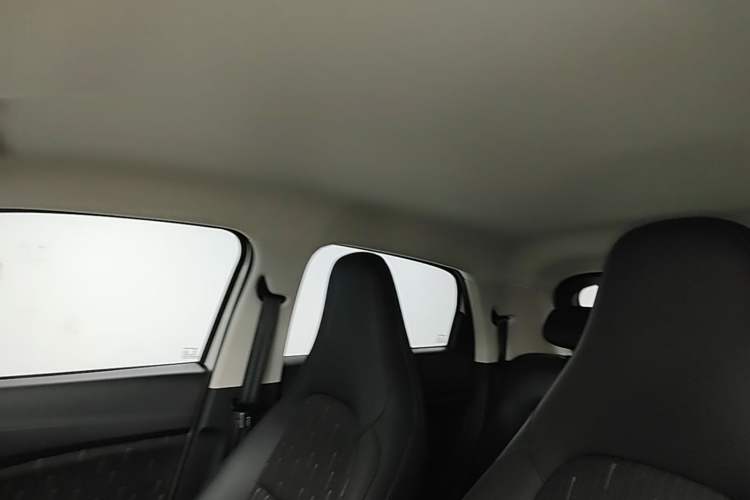 Used Leapmotor T03 2025 310 Comfort Edition Headliner