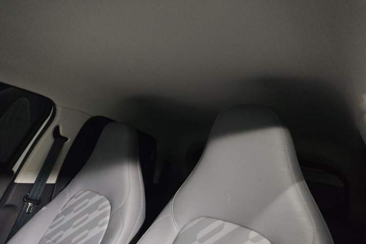 Used Leapmotor T03 2025 310 Comfort Edition Headliner