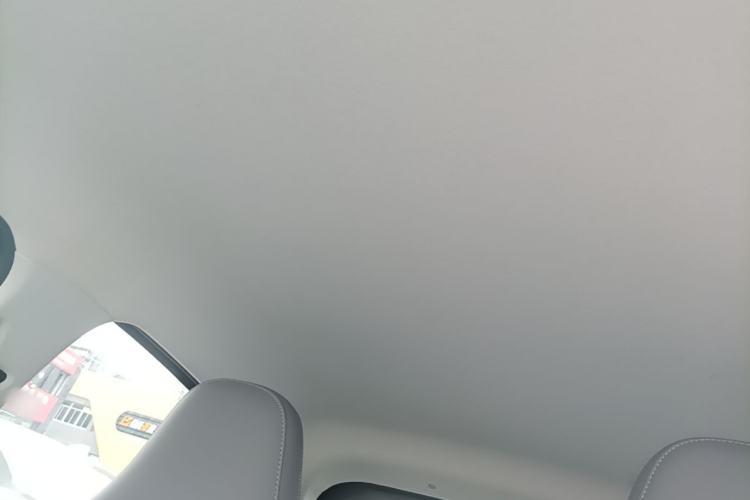 Used Leapmotor T03 2025 310 Comfort Edition Headliner