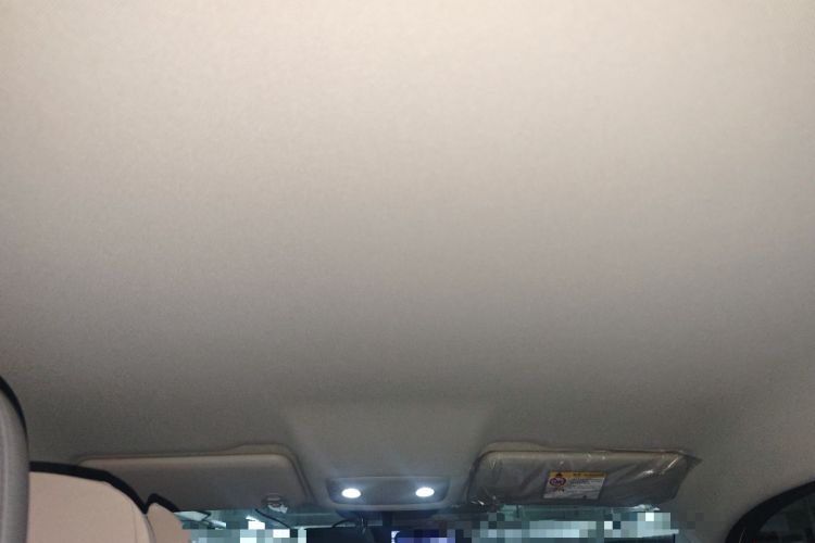 Used Leapmotor T03 2025 403 Comfort Edition Headliner