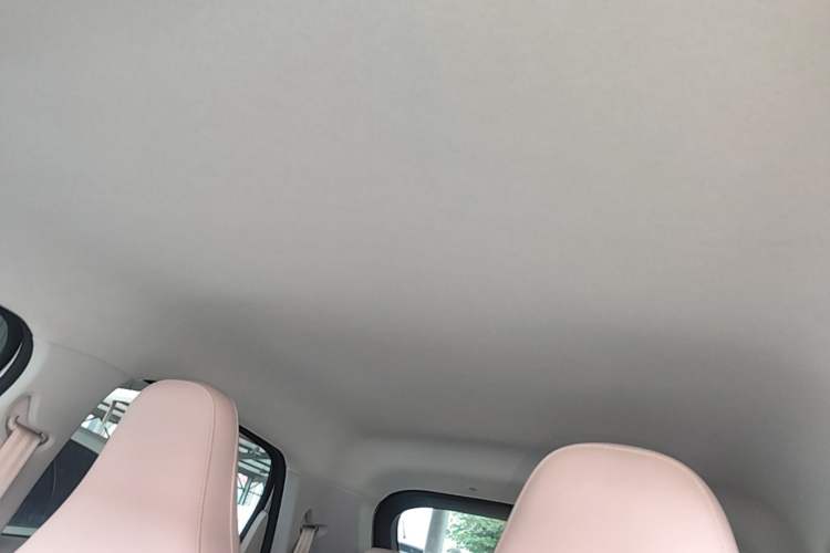 Used Leapmotor T03 2025 310 Comfort Edition Headliner