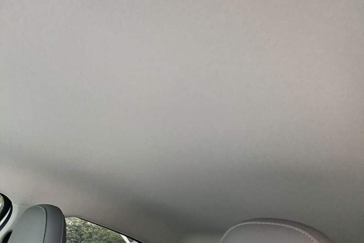 Used Leapmotor T03 2025 310 Comfort Edition Headliner