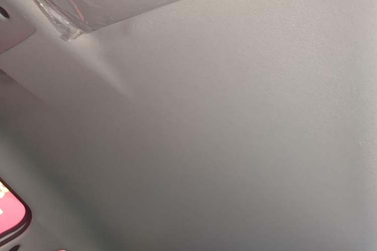 Used Leapmotor T03 2025 310 Comfort Edition Headliner