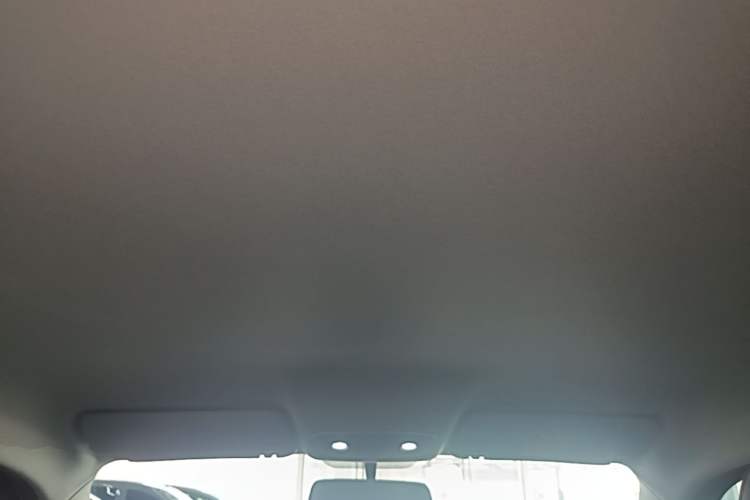 Used Leapmotor T03 2025 310 Comfort Edition Headliner