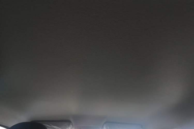 Used Leapmotor T03 2025 310 Comfort Edition Headliner
