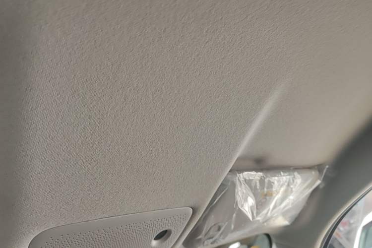 Used Leapmotor T03 2025 310 Comfort Edition Headliner