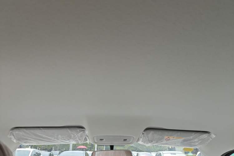 Used Leapmotor T03 2025 310 Comfort Edition Headliner