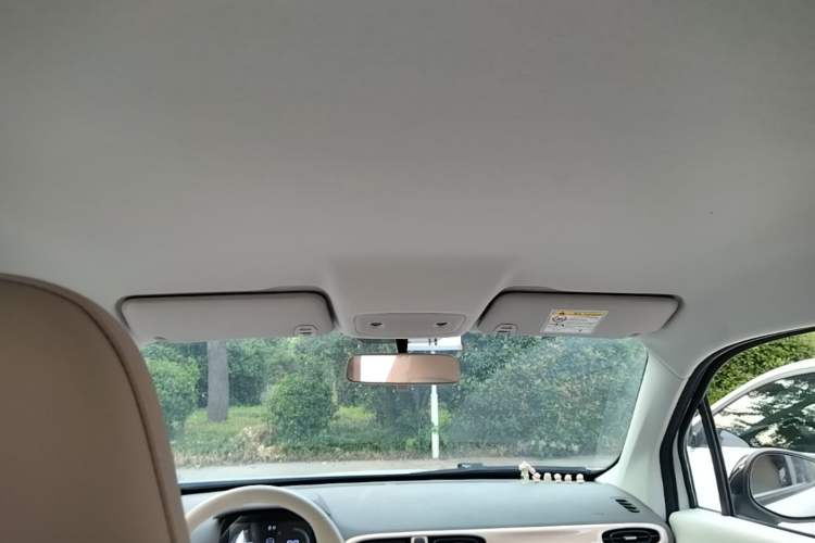 Used Leapmotor T03 2025 310 Comfort Edition Headliner