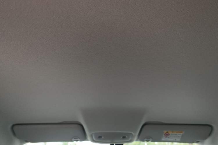 Used Leapmotor T03 2025 403 Comfort Edition Headliner