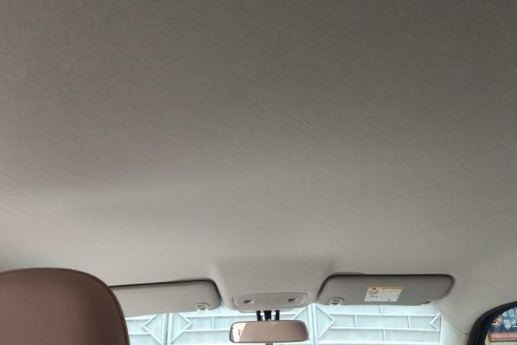 Used Leapmotor T03 2025 403 Comfort Edition Headliner