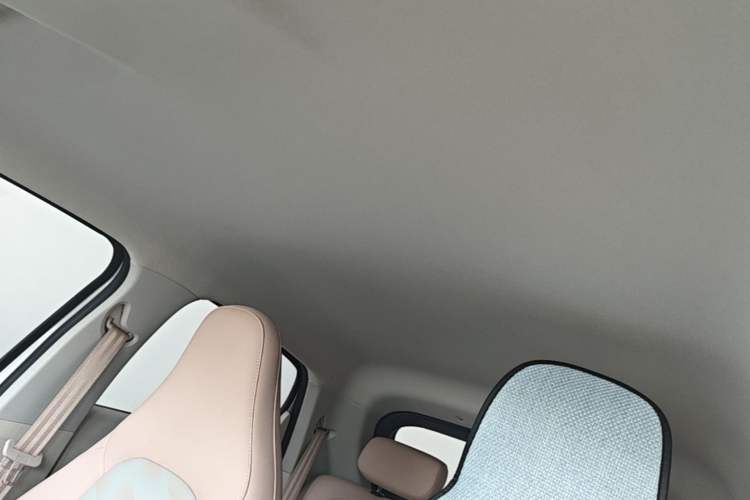 Used Leapmotor T03 2025 310 Comfort Edition Headliner
