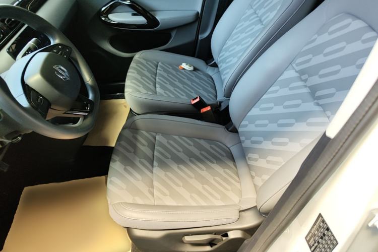 Used Leapmotor T03 2025 310 Comfort Edition Left Front Seat
