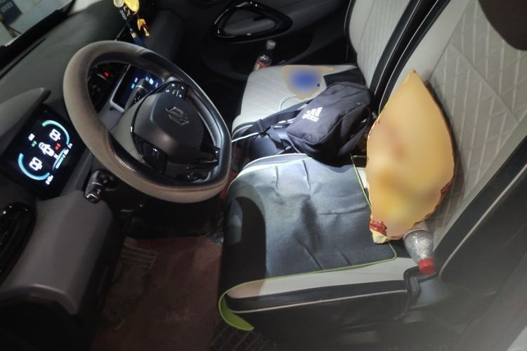 Used Leapmotor T03 2025 310 Comfort Edition Left Front Seat