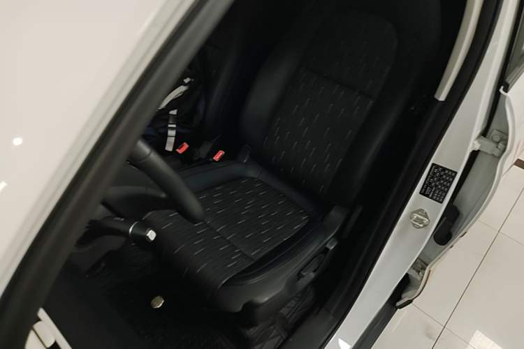 Used Leapmotor T03 2025 310 Comfort Edition Left Front Seat