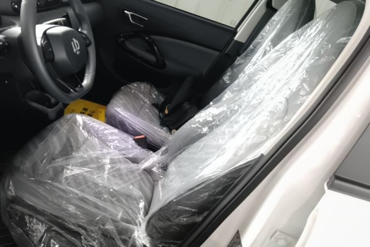 Used Leapmotor T03 2025 310 Comfort Edition Left Front Seat