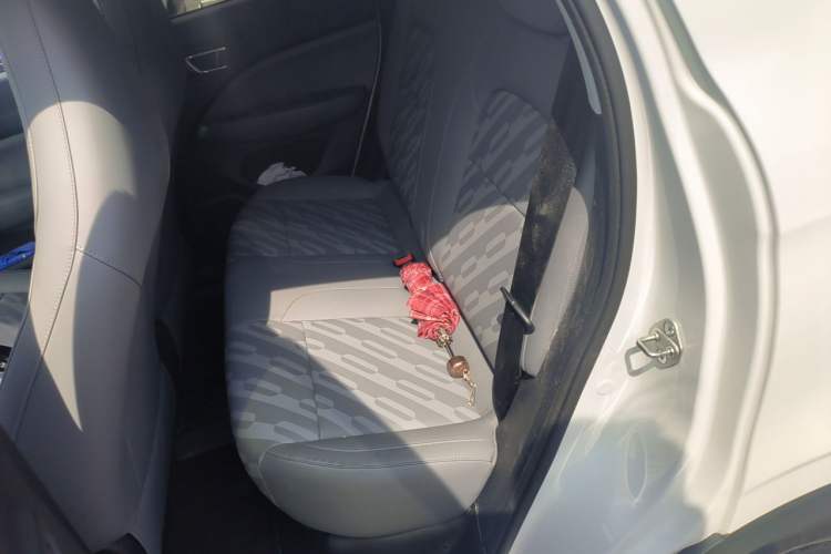 Used Leapmotor T03 2025 310 Comfort Edition Left Rear Seat